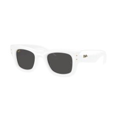 النظارات الشمسية RAY-BAN 4940 671 87 47 - RAY-BAN