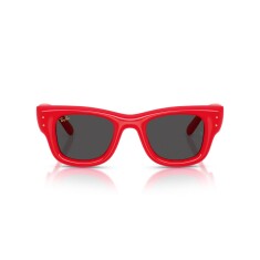النظارات الشمسية RAY-BAN 4940 683187 47 - RAY-BAN (1)