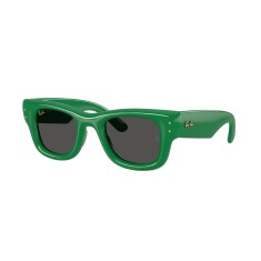 النظارات الشمسية RAY-BAN 4940 683487 47 - RAY-BAN