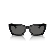 النظارات الشمسية TIFFANY 4213 8001S4 54 - TIFFANY
