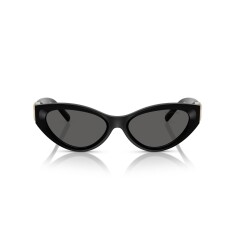 النظارات الشمسية TIFFANY 4225U 8001S 54 - TIFFANY