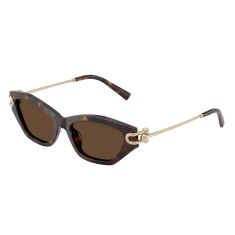 النظارات الشمسية TIFFANY 4231U 80153G 53 - TIFFANY (1)