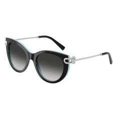 النظارات الشمسية TIFFANY 4232 80553C 53 - TIFFANY (1)