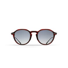 BRETT LEE SUN C22 48 Sunglasses 