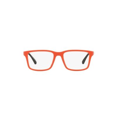 EMPRIO ARMANI 3203 5932 50 Optic