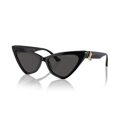 JIMMY CHOO 5008 500087 55 Güneş Gözlüğü - 2