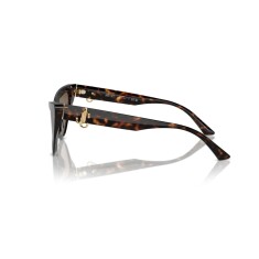 JIMMY CHOO 5008 500273 55 Güneş Gözlüğü - 3