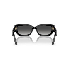 JIMMY CHOO 5017 50008G 55 Güneş Gözlüğü - 4