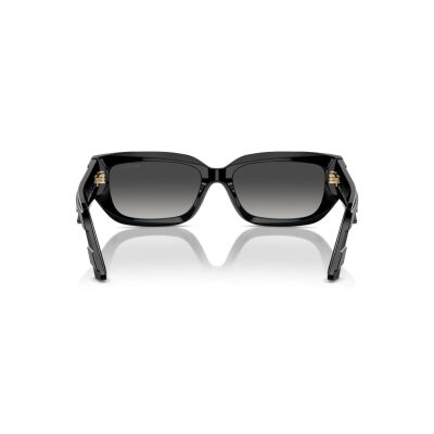 JIMMY CHOO 5017 50008G 55 Güneş Gözlüğü - 4