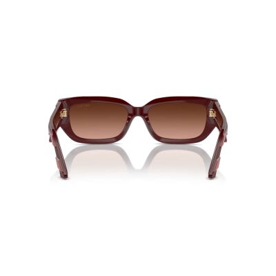 JIMMY CHOO 5017 50135M 55 Güneş Gözlüğü - 4