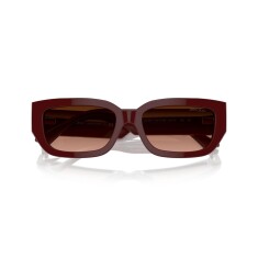 JIMMY CHOO 5017 50135M 55 Güneş Gözlüğü - 5