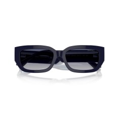 JIMMY CHOO 5017 50164L 55 Güneş Gözlüğü - 4