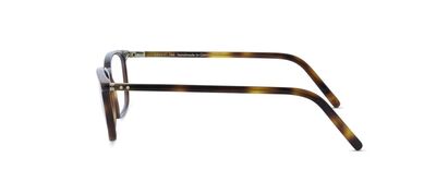 LUNOR Unisex Kahverengi Mavi Filtreli Gözlük A5 605 15 52