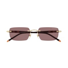 MONTBLANC 0348S 003 54 İki Renk Unisex Güneş Gözlüğü - MONTBLANC