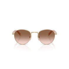 PRADA B52S ZVN0A6 49 Gold Kadın Güneş Gözlüğü - PRADA