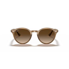 RAY-BAN Round 2180 616613 49 Kahverengi Unisex Güneş Gözlüğü - RAYBAN