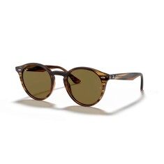 RAY-BAN Round 2180 820/73 49 Kahverengi Unisex Güneş Gözlüğü - RAYBAN (1)