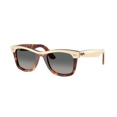 RAY-BAN 2240 144371 50 Güneş Gözlüğü - RAY-BAN