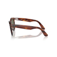 RAY-BAN 2241 954/58 51 Polarize Kahverengi Unisex Güneş Gözlüğü - RAYBAN (1)