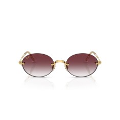 RAY-BAN 3929 001/8H 54 Sunglasses - RAY-BAN (1)