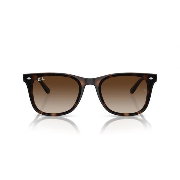 RAY-BAN 4420 710/13 65 Güneş Gözlüğü
