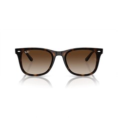 RAY-BAN 4420 710/13 65 Kahverengi Unisex Güneş Gözlüğü - RAYBAN