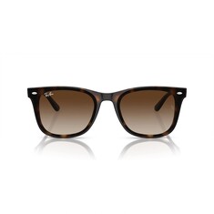 Ray-Ban 4420 710/13 65 Kahverengi Unisex Güneş Gözlüğü 