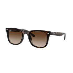 RAY-BAN 4420 710/13 65 Kahverengi Unisex Güneş Gözlüğü - RAYBAN (1)