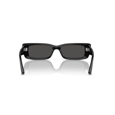 RAY-BAN 4425 667787 54 Güneş Gözlüğü - 4