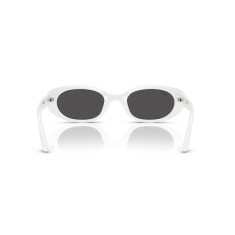RAY-BAN 4441D 677287 53 Güneş Gözlüğü - 4