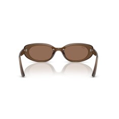 RAY-BAN 4441D 677973 53 Güneş Gözlüğü - 4