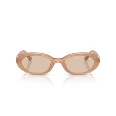 RAY-BAN 4441D 678793 53 Kahverengi Kadın Güneş Gözlüğü - RAYBAN