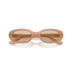 RAY-BAN 4441D 678793 53 Güneş Gözlüğü - 5