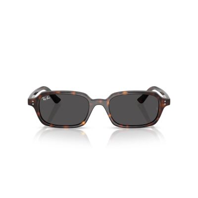 RAY-BAN 4455 135987 49 Güneş Gözlüğü Satın Al