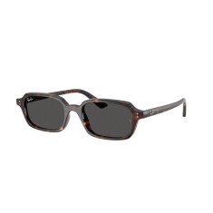 RAY-BAN 4455 135987 49 Sunglasses - RAY-BAN (1)