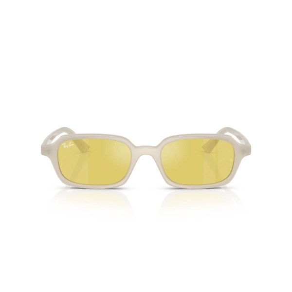 RAY-BAN 4455 68086D 52 Güneş Gözlüğü