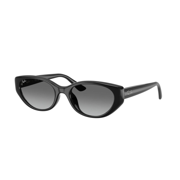 RAY-BAN 4457D 667711 55 Güneş Gözlüğü