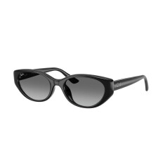RAY-BAN 4457D 667711 55 Güneş Gözlüğü - 1