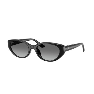 RAY-BAN 4457D 667711 55 Güneş Gözlüğü - 1