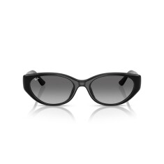 RAY-BAN 4457D 667711 55 Güneş Gözlüğü - 2
