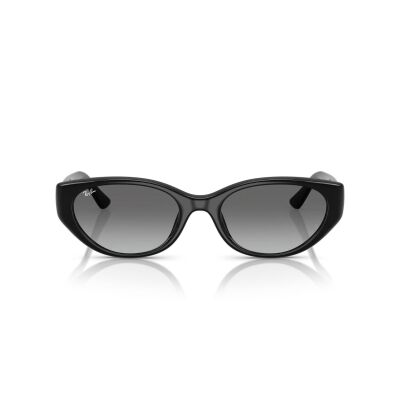 RAY-BAN 4457D 667711 55 Güneş Gözlüğü - 2
