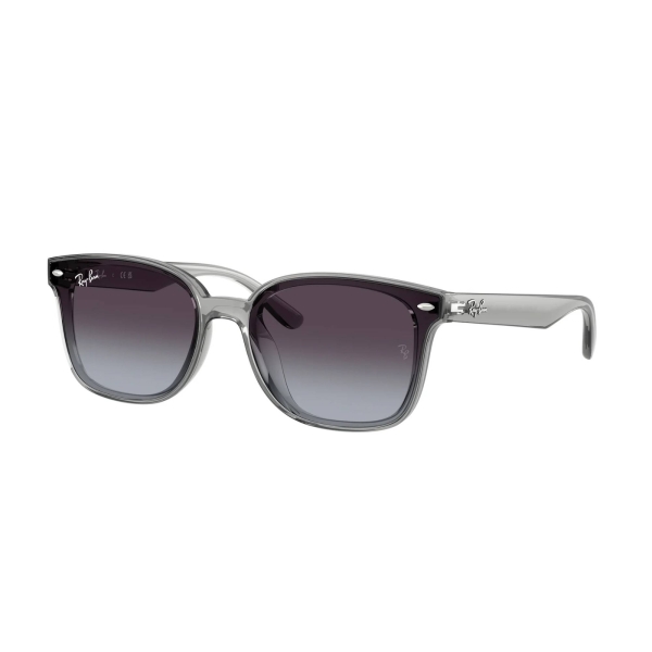 RAY-BAN 4461D 64508G 64 Güneş Gözlüğü