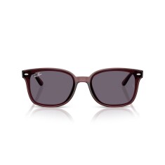 RAY-BAN 4461D 659373 64 Güneş Gözlüğü - RAY-BAN (1)