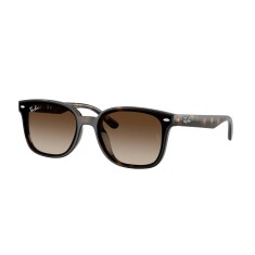 RAY-BAN 4461D 710/13 64 Güneş Gözlüğü - RAY-BAN