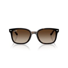 RAY-BAN 4461D 710/13 64 Güneş Gözlüğü - RAY-BAN (1)