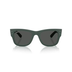 RAY-BAN 4840S 665787 50 Yeşil Unisex Güneş Gözlüğü - RAYBAN