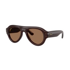 RAY-BAN 4925 689673 52 Güneş Gözlüğü - RAY-BAN