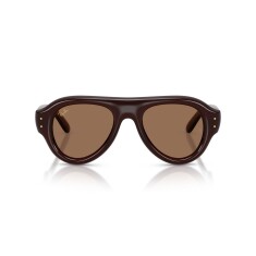 RAY-BAN 4925 689673 52 Güneş Gözlüğü - RAY-BAN (1)