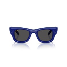 RAY-BAN 4940 683387 47 Sunglasses - RAY-BAN (1)