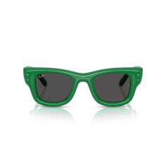 RAY-BAN 4940 683487 47 Sunglasses - RAY-BAN (1)